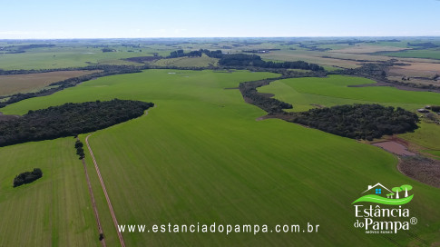 VAI DA BR PARA A FAZENDA.00_02_50_02.Quadro027_a56265809e7f3936f064671017dde45bc36097b1.jpg